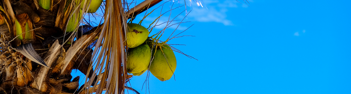 Coconut-Water