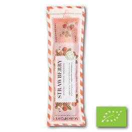STICKS Agroposta Aardbei BIO (50x32ml)