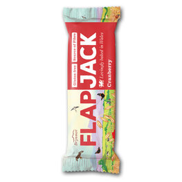 Brynmor Flapjack Cranberry (20x80gr)