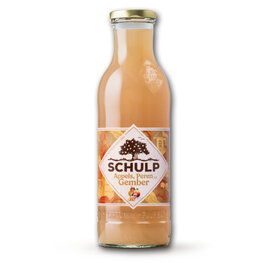 Schulp Grote Fles Appel Peer Gember (6x750ml)