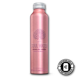 Soul Water Sparkling 500ML ALU BOTTLE (12x500ml)
