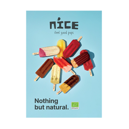 Nice IJs Raambord Assortiment (1st)