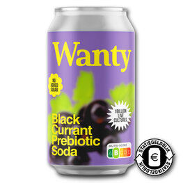 Wanty Blackcurrant Ginger (12x330ml)