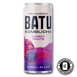 Batu Kombucha Forest Fruits BLIK (12x250ml)